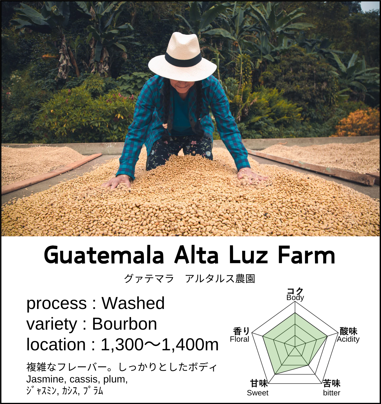 Guatemala Alta Luz Farm SHB