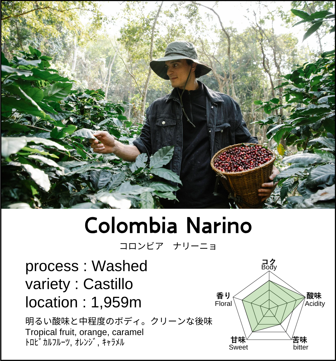 Colombia Narino Supremo