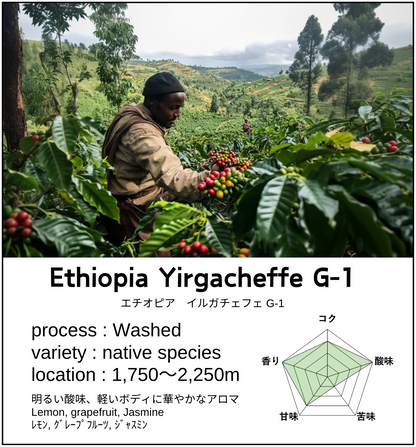 Ethiopia Yirgacheffe G-1