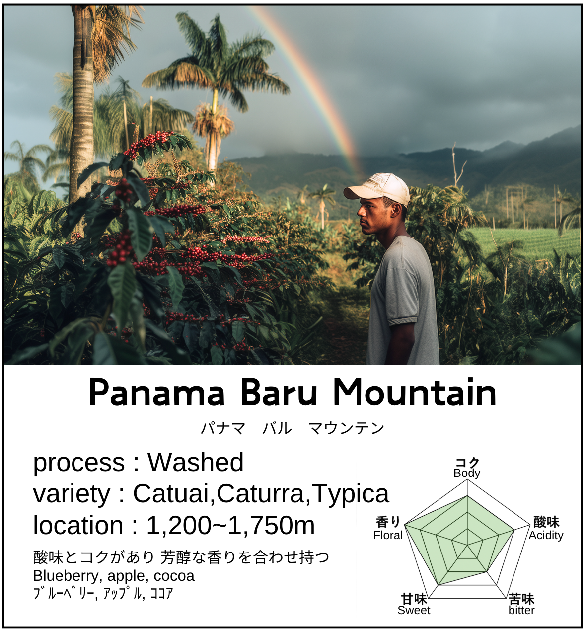 Panama Baru Mountain SHB