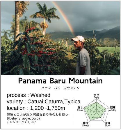 Panama Baru Mountain SHB