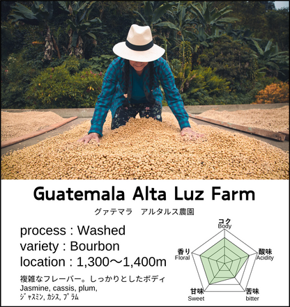 Guatemala Alta Luz Farm SHB