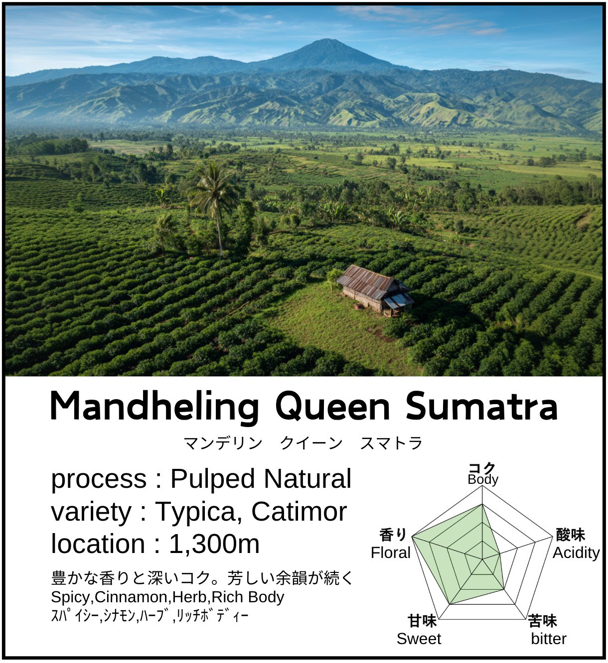 Mandheling Queen Sumatra