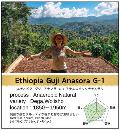 Ethiopia Guji Anasora G-1